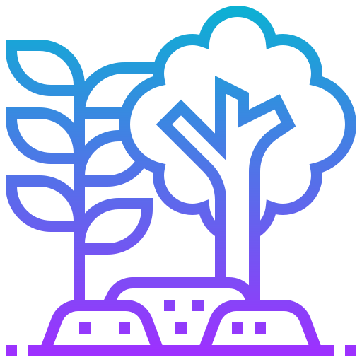 Plantation and Tree Crop Operations